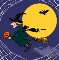 Czarownica i kot lecą na miotle w Halloween